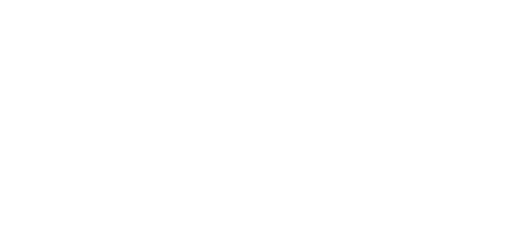 Budgy Smuggler